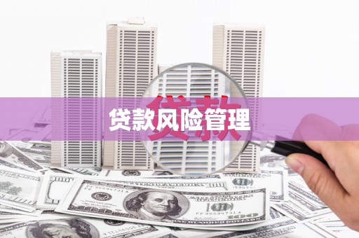 民和贷款风险管理
