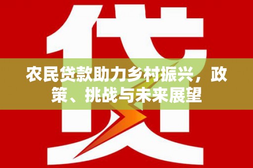 民和农民贷款助力乡村振兴，政策、挑战与未来展望