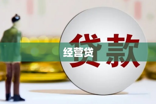 民和经营贷