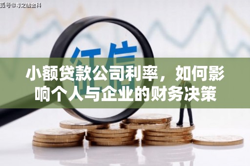 民和小额贷款公司利率，如何影响个人与企业的财务决策