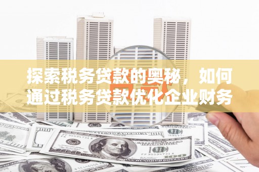 民和探索税务贷款的奥秘，如何通过税务贷款优化企业财务