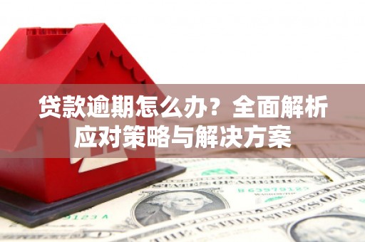民和贷款逾期怎么办？全面解析应对策略与解决方案
