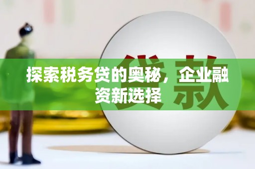 民和探索税务贷的奥秘，企业融资新选择