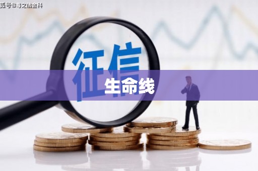 民和生命线