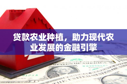 民和贷款农业种植，助力现代农业发展的金融引擎
