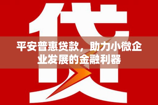 民和平安普惠贷款，助力小微企业发展的金融利器