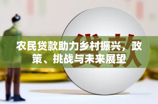 民和农民贷款助力乡村振兴，政策、挑战与未来展望