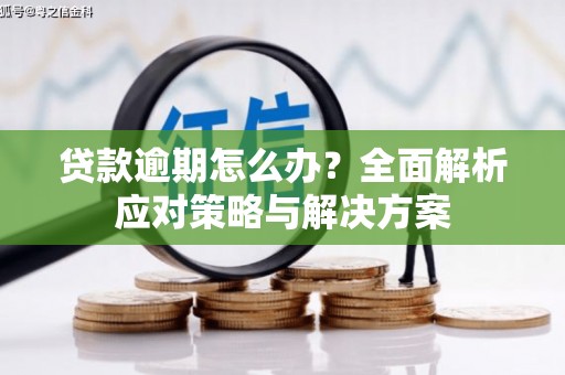 民和贷款逾期怎么办？全面解析应对策略与解决方案