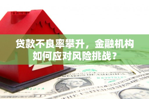 民和贷款不良率攀升，金融机构如何应对风险挑战？