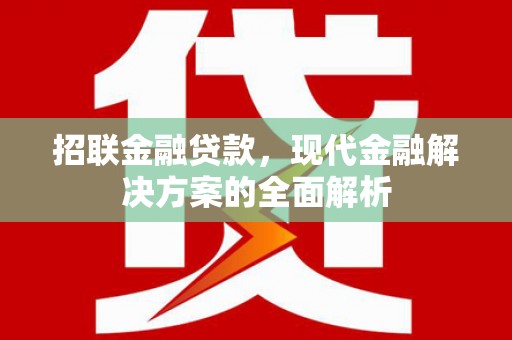 民和招联金融贷款，现代金融解决方案的全面解析