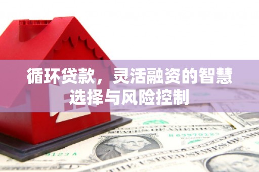 民和循环贷款，灵活融资的智慧选择与风险控制