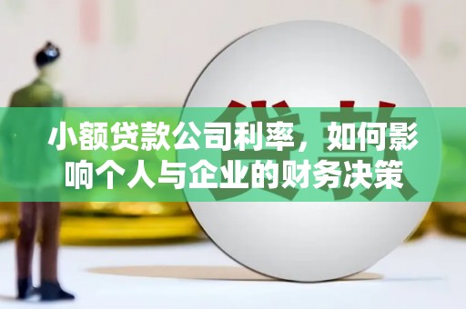 民和小额贷款公司利率，如何影响个人与企业的财务决策
