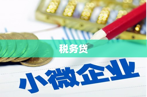 民和税务贷