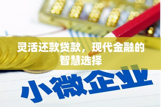 民和灵活还款贷款，现代金融的智慧选择