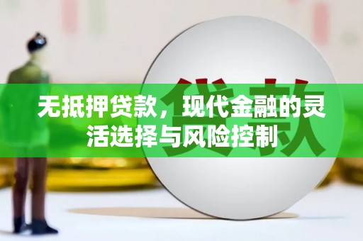 民和无抵押贷款，现代金融的灵活选择与风险控制