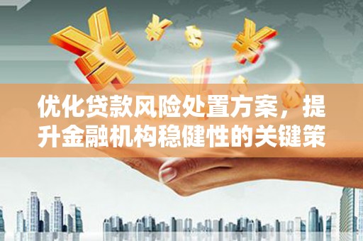 民和优化贷款风险处置方案，提升金融机构稳健性的关键策略