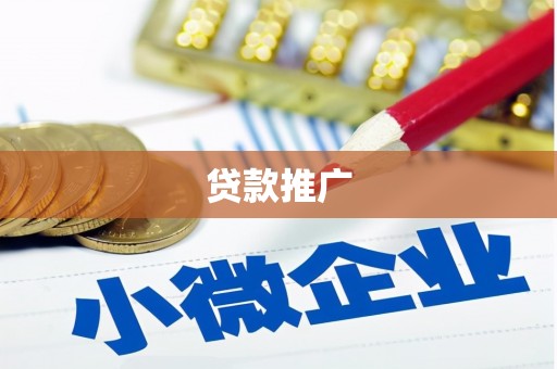 民和贷款推广