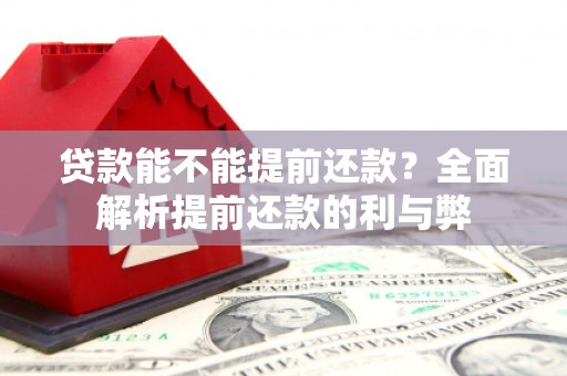 民和贷款能不能提前还款？全面解析提前还款的利与弊