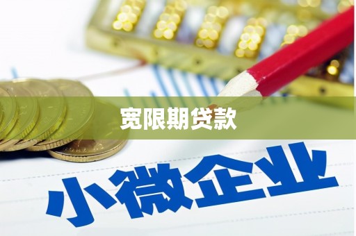 民和宽限期贷款