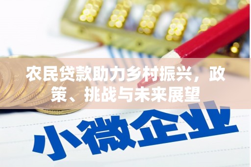 民和农民贷款助力乡村振兴，政策、挑战与未来展望