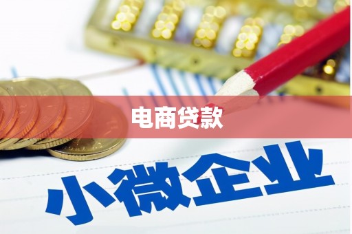 民和电商贷款