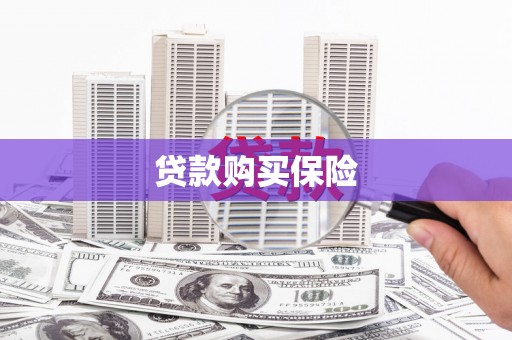 民和贷款购买保险
