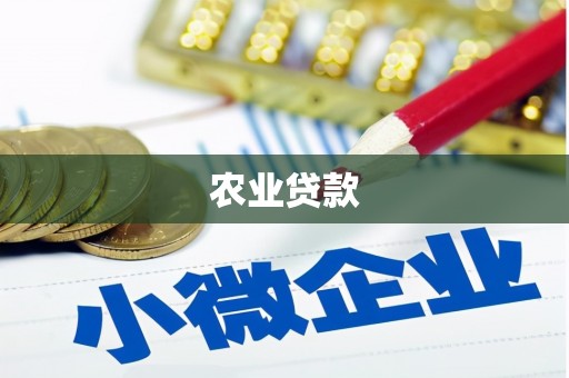 民和农业贷款