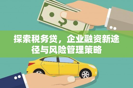 民和探索税务贷，企业融资新途径与风险管理策略