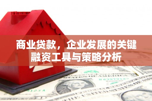 民和商业贷款，企业发展的关键融资工具与策略分析