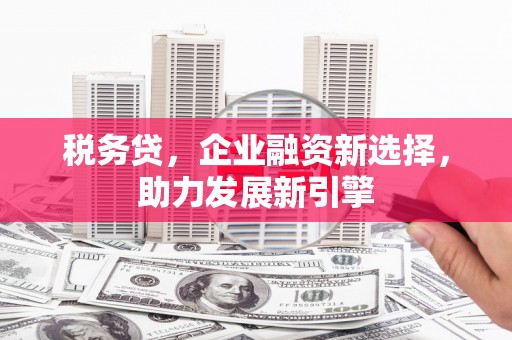 民和税务贷，企业融资新选择，助力发展新引擎
