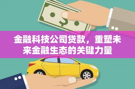 民和金融科技公司贷款，重塑未来金融生态的关键力量