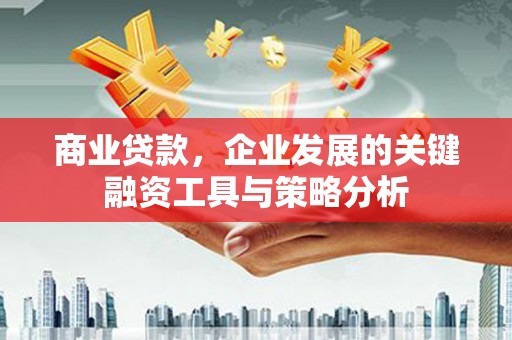 民和商业贷款，企业发展的关键融资工具与策略分析