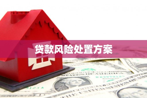 民和贷款风险处置方案