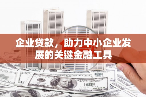 民和企业贷款，助力中小企业发展的关键金融工具