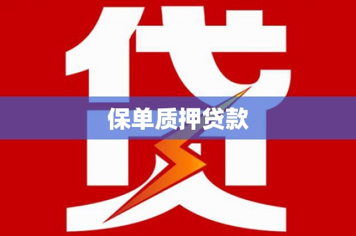 民和保单质押贷款