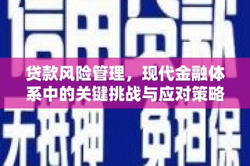 民和贷款风险管理，现代金融体系中的关键挑战与应对策略