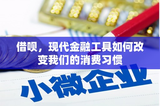 民和借呗，现代金融工具如何改变我们的消费习惯