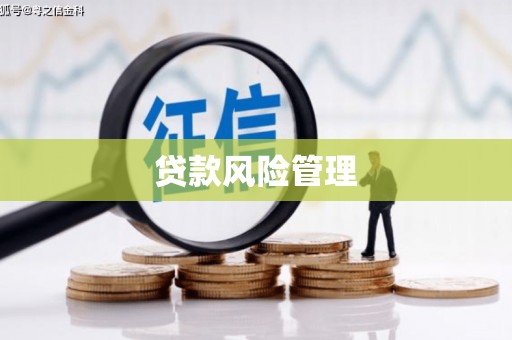 民和贷款风险管理