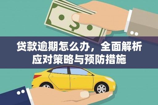 民和贷款逾期怎么办，全面解析应对策略与预防措施
