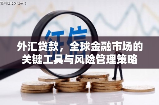 民和外汇贷款，全球金融市场的关键工具与风险管理策略