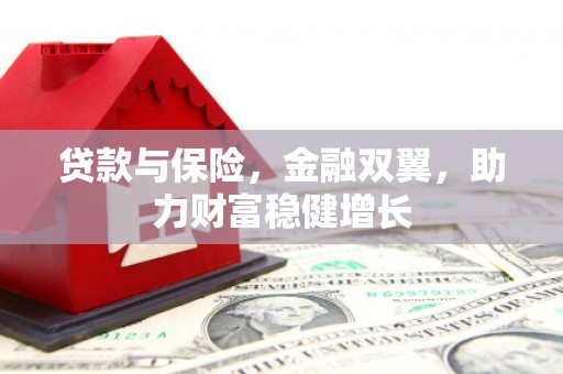 民和贷款与保险，金融双翼，助力财富稳健增长