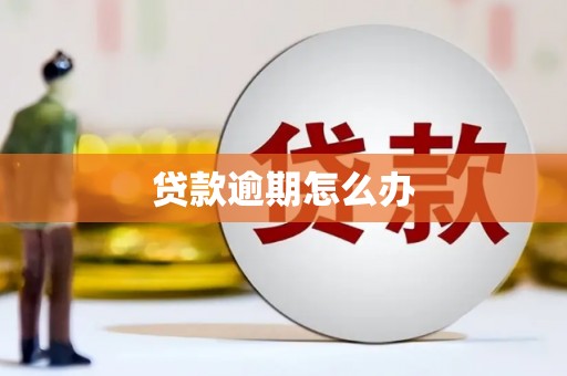 民和贷款逾期怎么办