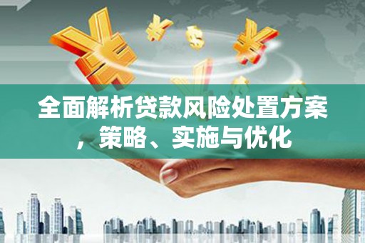 民和全面解析贷款风险处置方案，策略、实施与优化