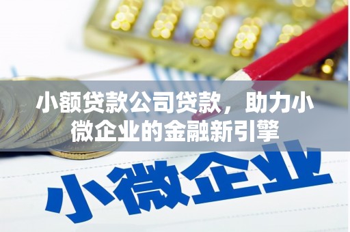 民和小额贷款公司贷款，助力小微企业的金融新引擎