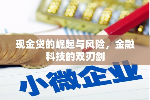 民和现金贷的崛起与风险，金融科技的双刃剑
