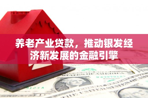 民和养老产业贷款，推动银发经济新发展的金融引擎