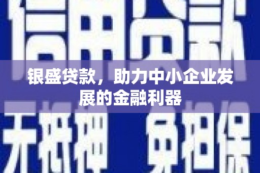 民和银盛贷款，助力中小企业发展的金融利器