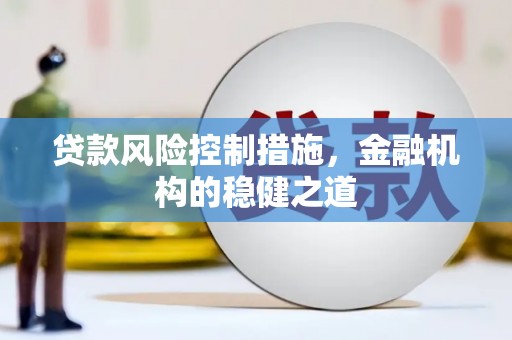 民和贷款风险控制措施，金融机构的稳健之道