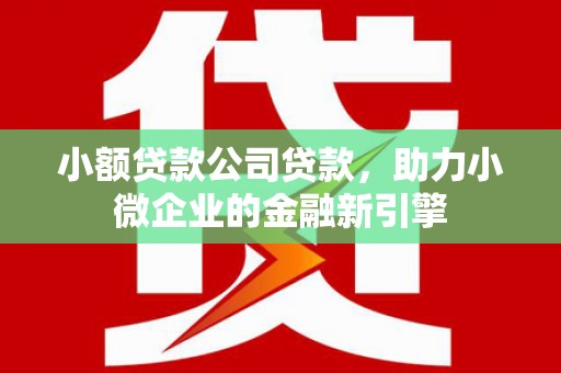 民和小额贷款公司贷款，助力小微企业的金融新引擎