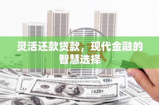 民和灵活还款贷款，现代金融的智慧选择